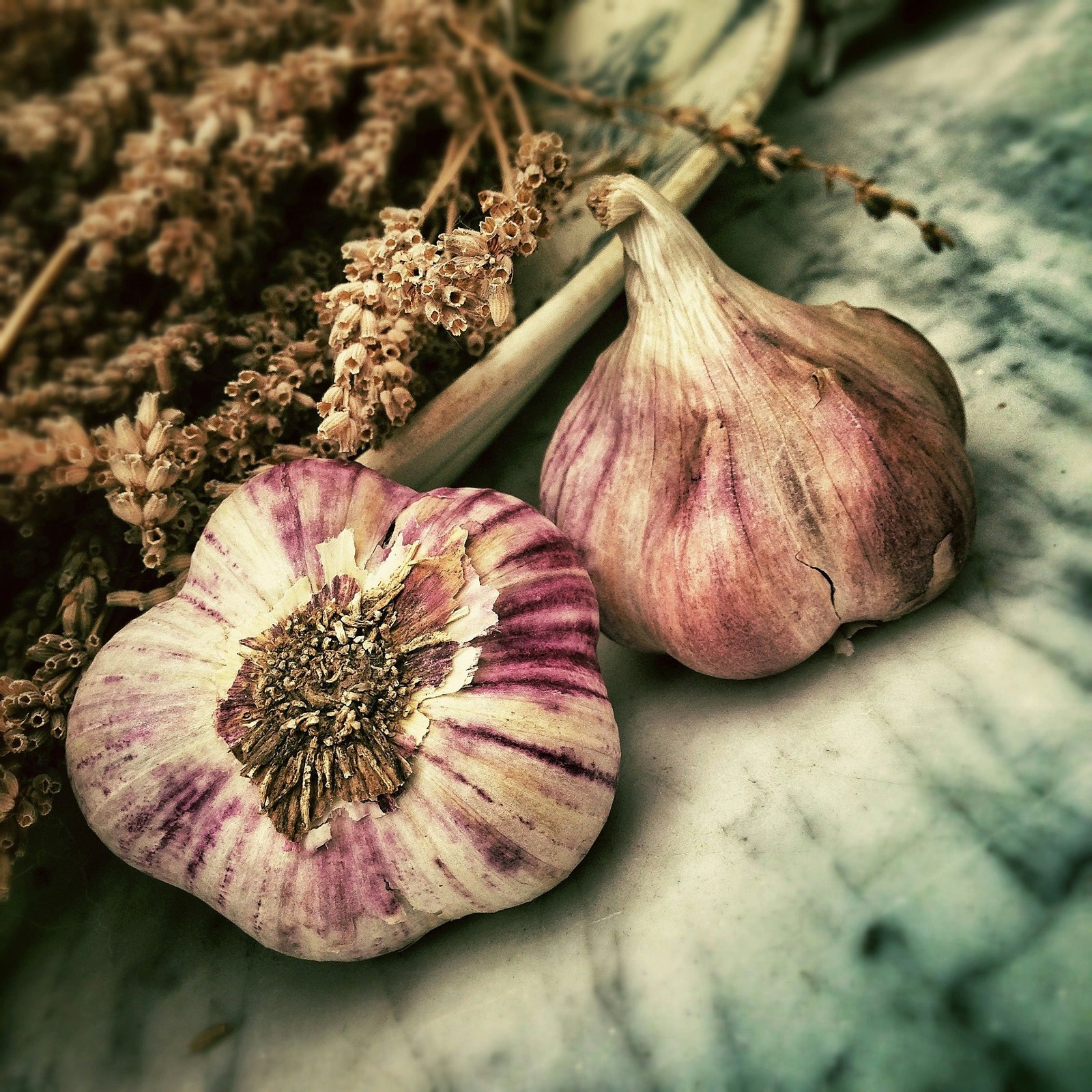 two garlic in shallow